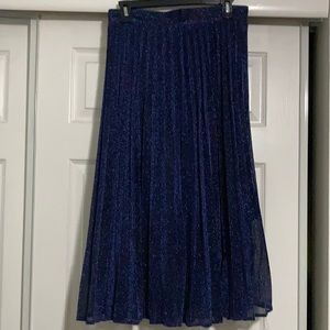 Sparkly Midnight Blue Pleated Skirt